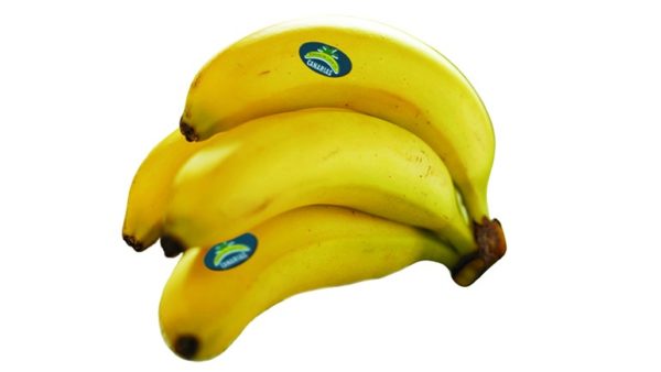Plátano de Canarias (Unidad)