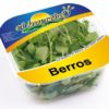 Berros el Huertico