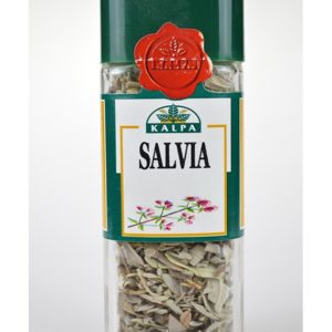 Salvia Kalpa